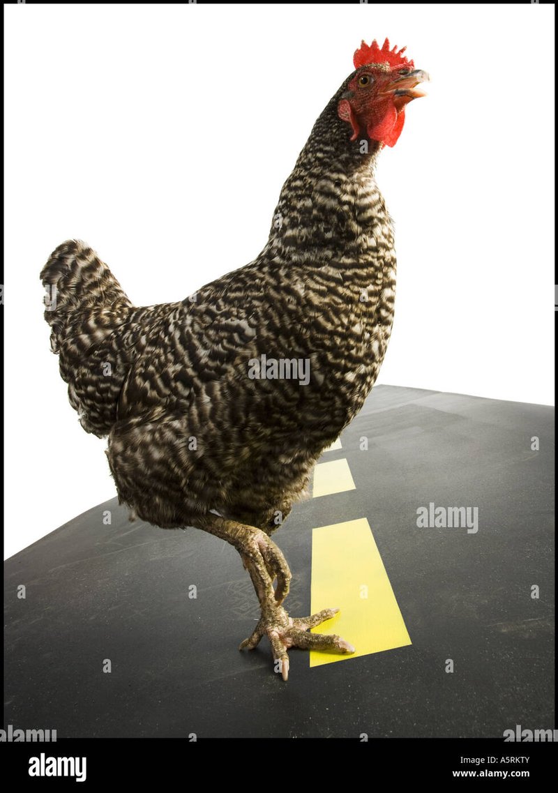 Best chicken road online in Netherlands
